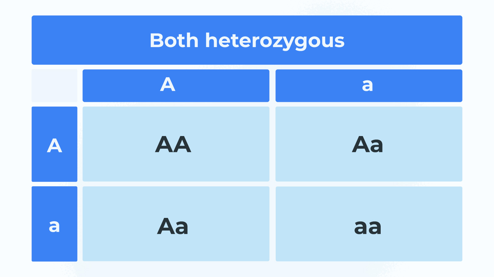 Two parents with heterozygous alleles (both dominant and recessive)